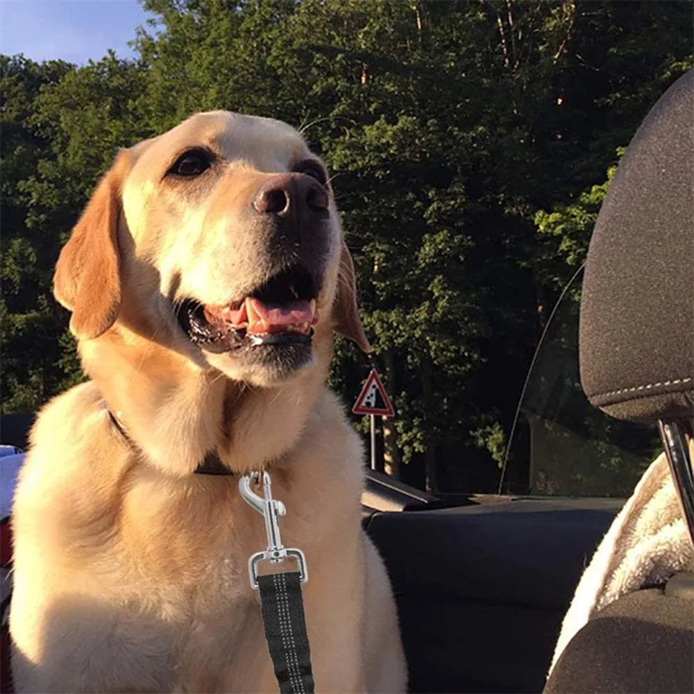 Golden Retriever sitting comfortably in a car secured by a SafeTrip safety harness.