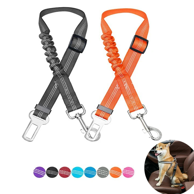 Gray and orange reflective pet seatbelts with shock-absorbing bungee and swivel hooks.