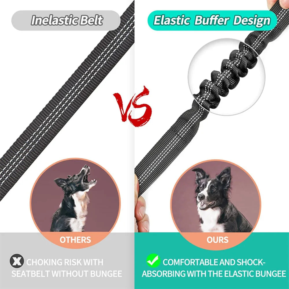 Infographic comparing a standard leash to a comfortable shock-absorbing bungee harness.